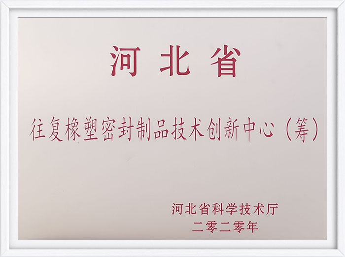 Reciprocating Seal Manufacturer | Hebei Innovation Center