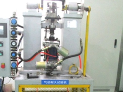 Two-channel pneumatic durability testing machine